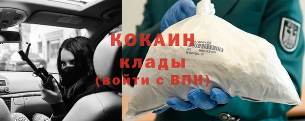 стафф Новокубанск