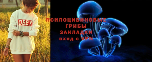 эйфоретик Новодвинск