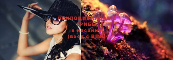 эйфоретик Новодвинск
