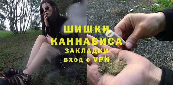 стафф Новокубанск