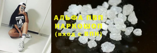 эйфоретик Новодвинск