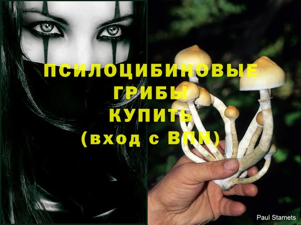 марихуана Новозыбков
