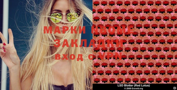 стафф Новокубанск