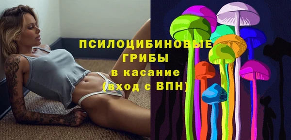 эйфоретик Новодвинск