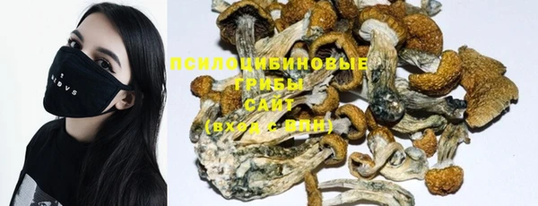 стафф Новокубанск