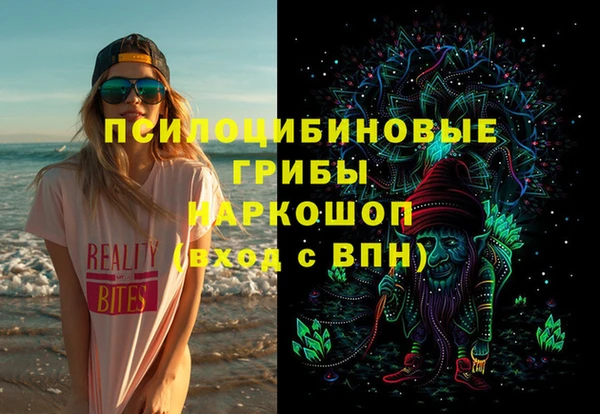 стафф Новокубанск