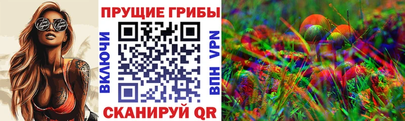 OMG сайт  Брянск  Галлюциногенные грибы Cubensis 